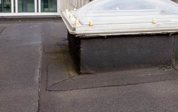 disadvantages of Smeeth flat roofs